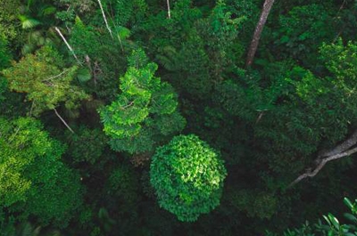 BCC Response to Government Announcements on Net Zero