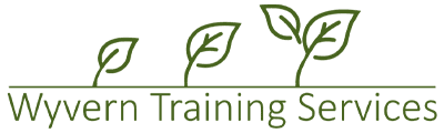 wyvern training services