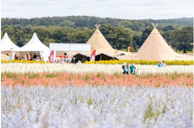 Tickets are Selling Fast for Shropshire Petal Fields