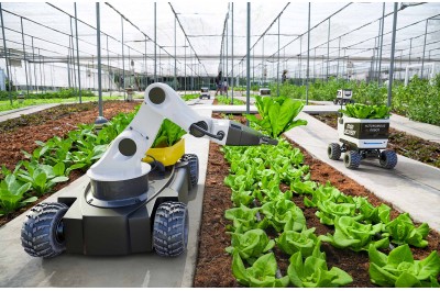 Agritech start-ups must dig deeper to find the right people