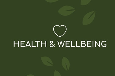 Wellbeing in the Workplace