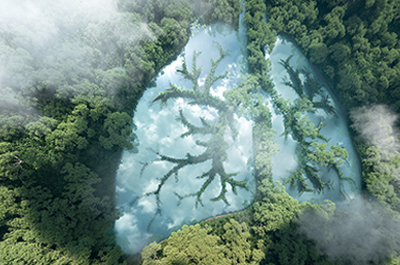 Proud to be a Climate Neutral Company