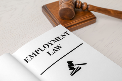 What can we expect to be included in the Employment Rights Bill?